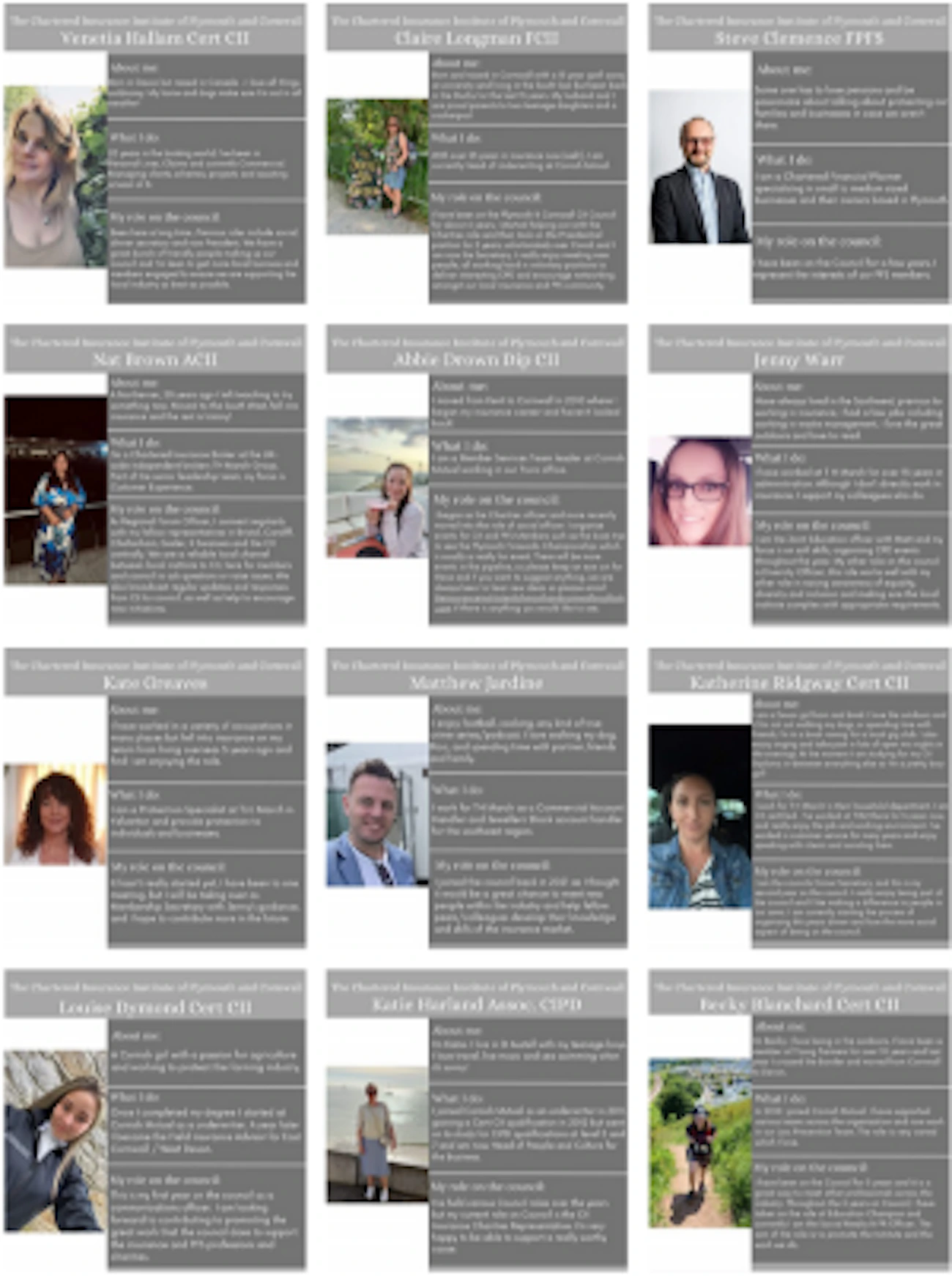 Meet your council/commitee