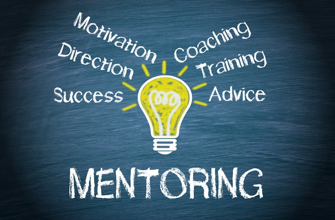 Qualification Mentoring Scheme - 2022 intake