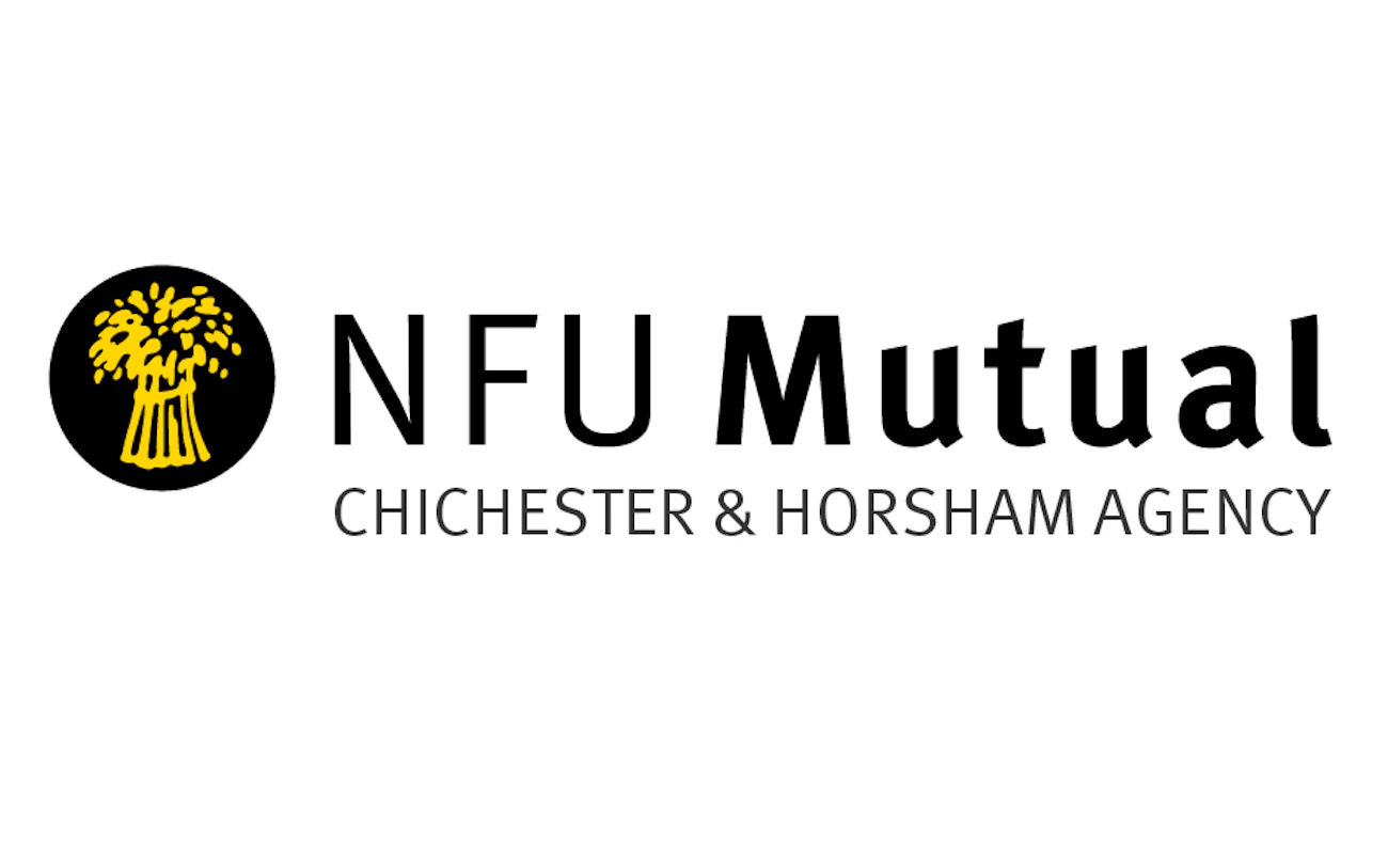 Chichester logo1 80x50 .jpg