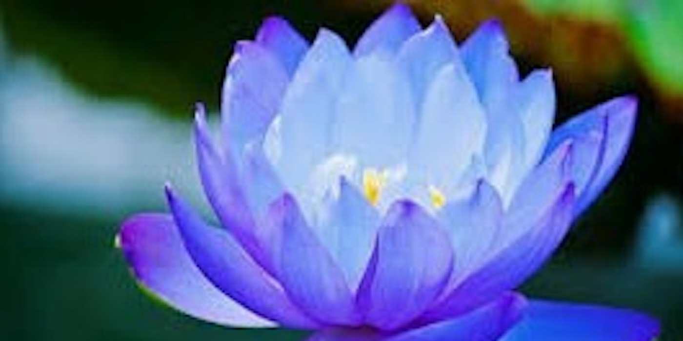 Obituary - John Millin